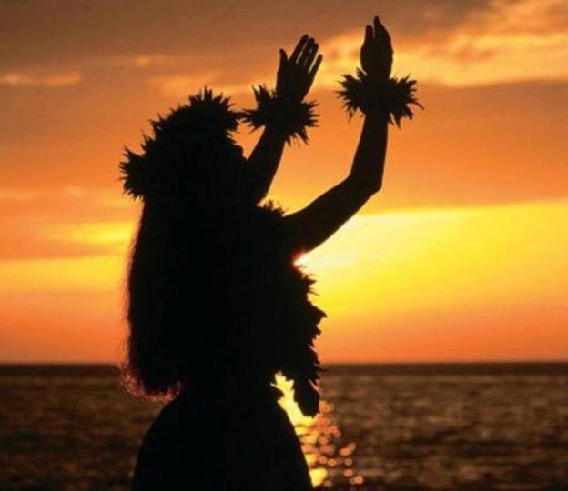 Resultado de imagem para dança havaiana